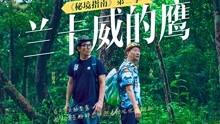 独眼方块找出口无敌版