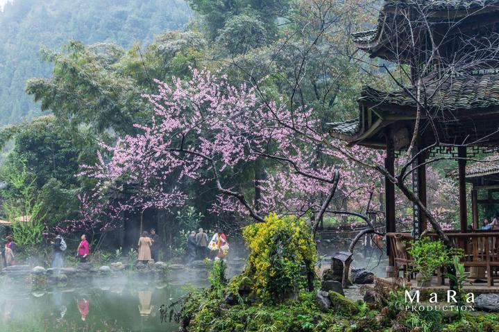 数学算术题目