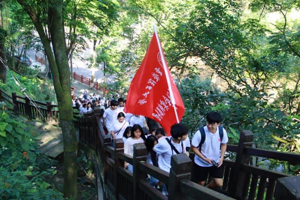 逃离马儿森林