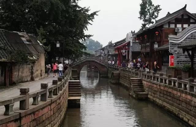 武汉父子用毒镖射杀100多只狗，牟利2万多元，他们的行为是否涉嫌违法？