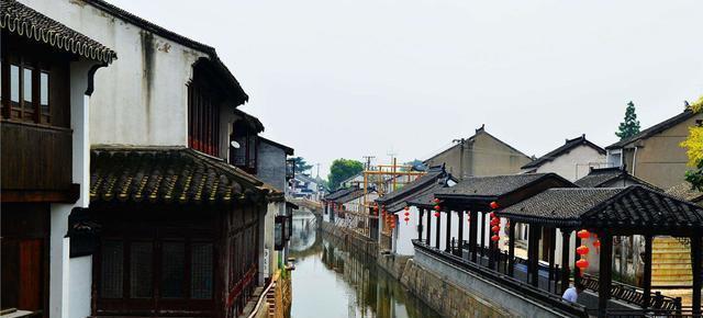 养仓鼠的主人们一定要注意啦,这么做会减少仓鼠寿命的